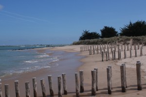 plage de l anse PORTES EN RE